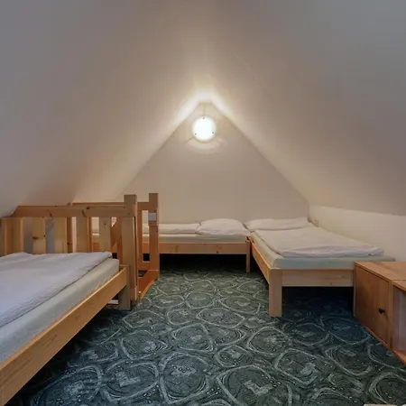 Ramzovka Guest house *