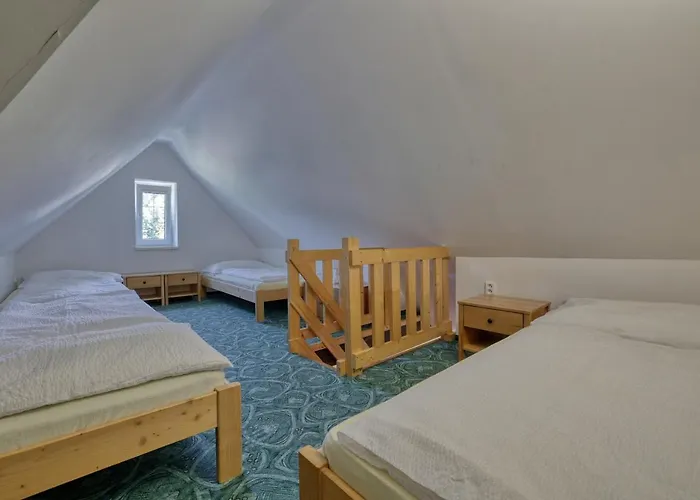 Ramzovka Pensión 3*
